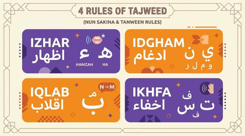 Infographic showing the four noon sakinah and tanween rules with their trigger letters