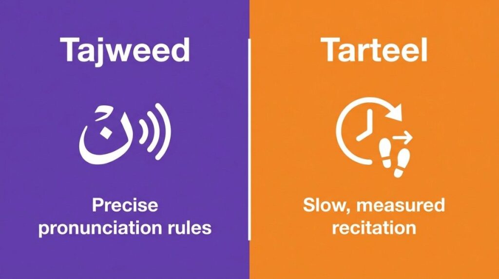 Side by side comparison graphic showing the difference between Tajweed pronunciation rules and Tarteel recitation pace