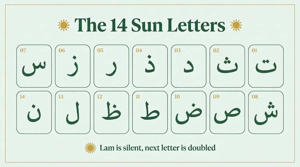 The 14 sun letters of Lam Shamsiyah in Arabic