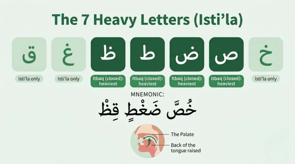 Isti'la heavy letters and Itbaq closure letters in Tajweed