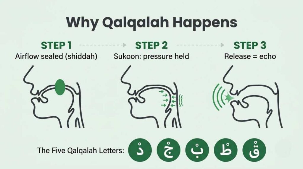 Why Qalqalah happens — airflow sealed by shiddah, then released as an echo